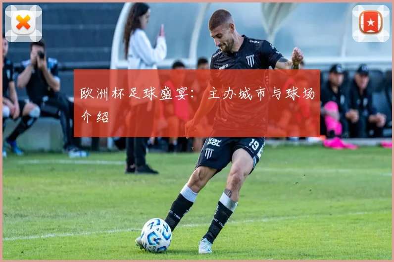 欧洲杯足球盛宴：主办城市与球场介绍