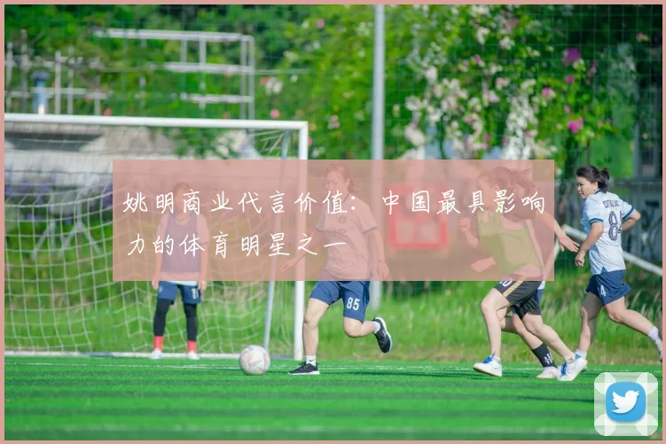 姚明商业代言价值：中国最具影响力的体育明星之一